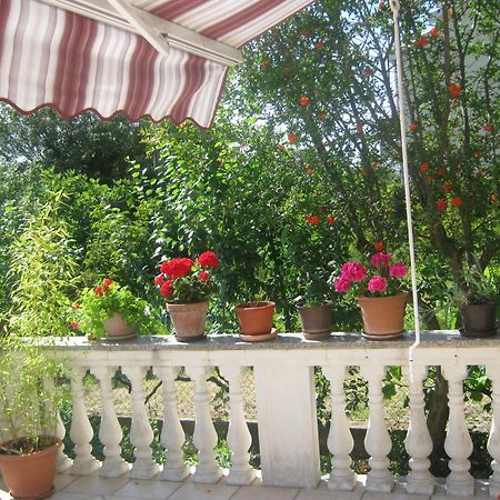 Apartments Grzunov زادار الغرفة الصورة