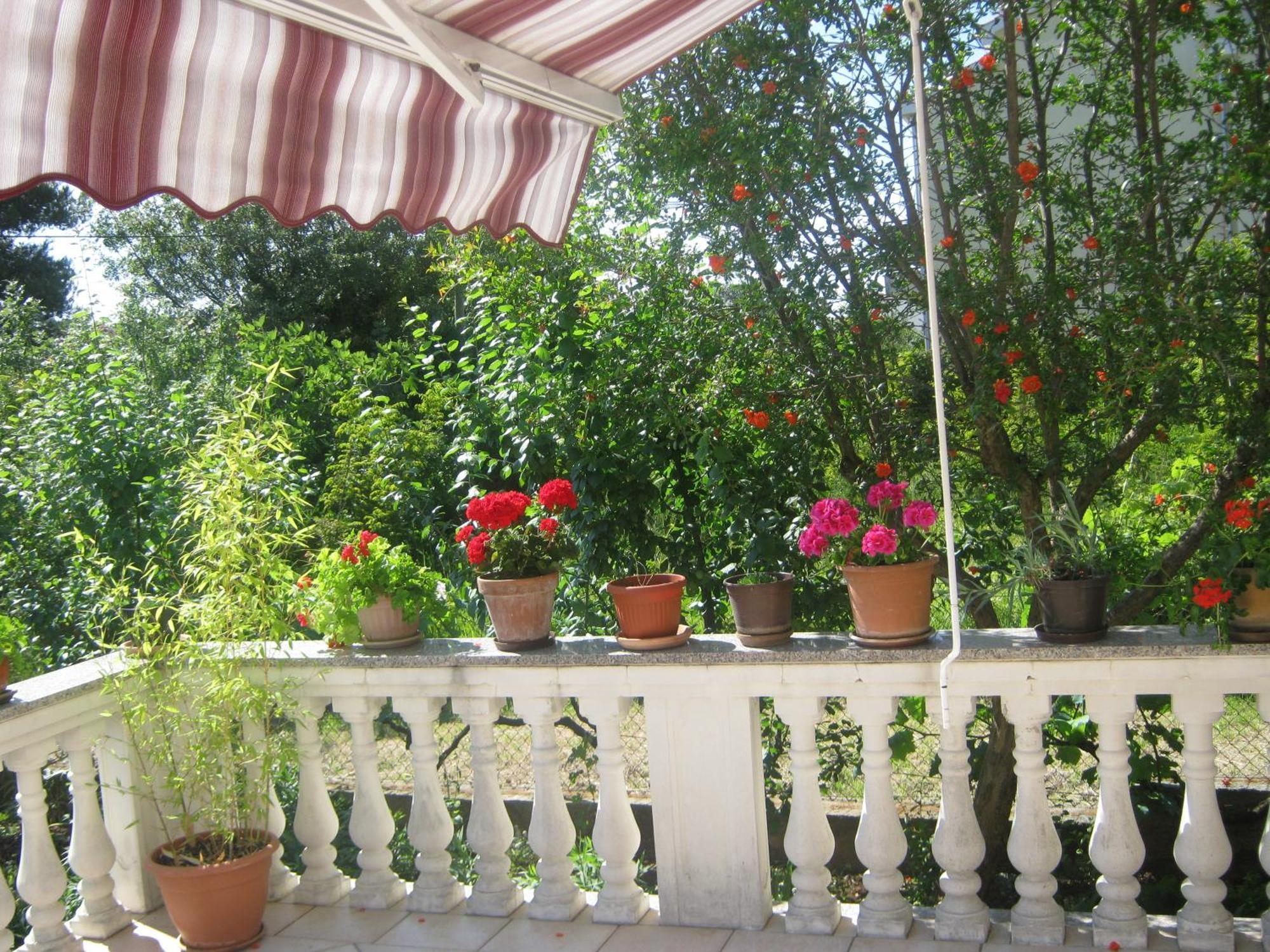 Apartments Grzunov زادار الغرفة الصورة