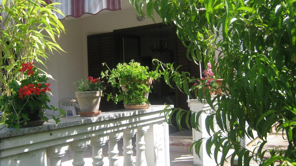 Apartments Grzunov زادار المظهر الخارجي الصورة