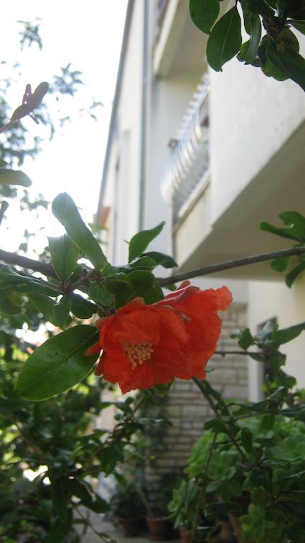 Apartments Grzunov زادار الغرفة الصورة