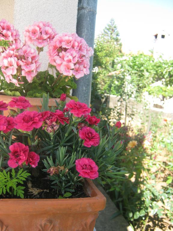 Apartments Grzunov زادار المظهر الخارجي الصورة
