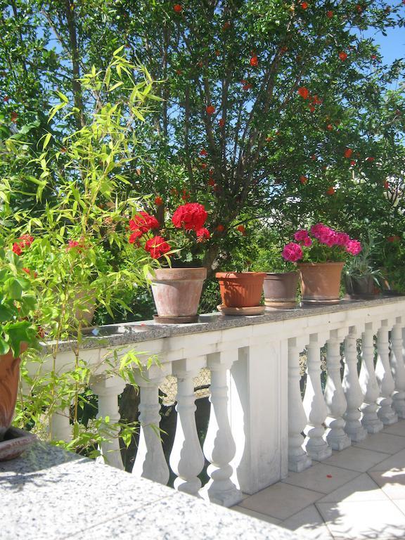 Apartments Grzunov زادار المظهر الخارجي الصورة
